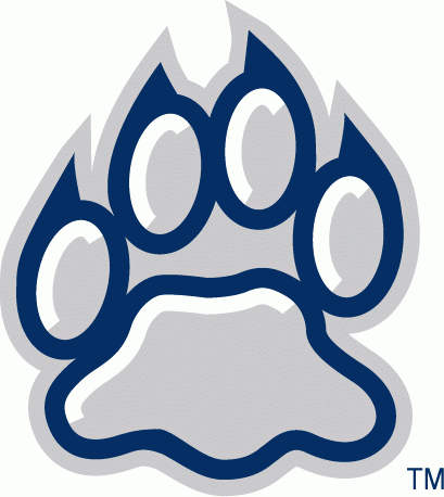 New Hampshire Wildcats 2000-Pres Alternate Logo v3 diy iron on heat transfer